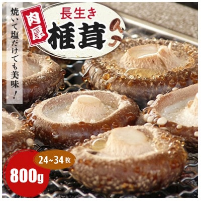 Ăĉł!uvő800g(24`34)×1pbNyzsnFzy1665538ztqs7500؁Ê̂