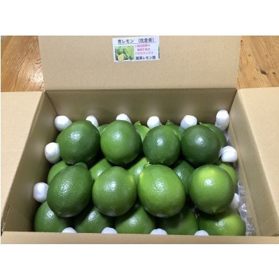 レモン 3.0kg【1677025】千葉県佐倉市18000果物・フルーツその他 果物・フルーツ