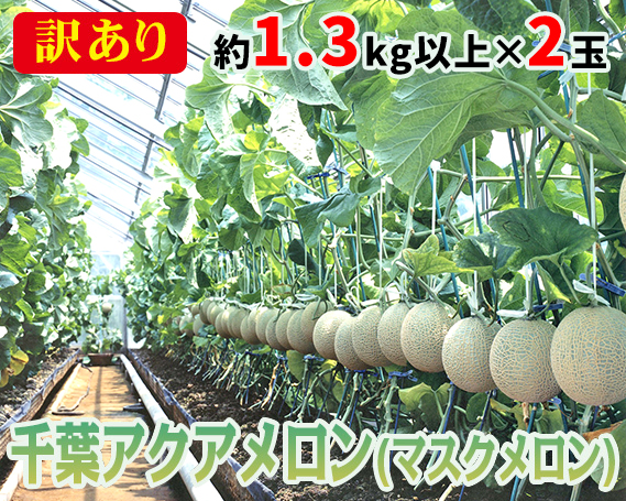 【約1.3kg以上×2玉】訳あり千葉アクアメロン(マスクメロン)大玉千葉県東金市17000果物・フルーツメロン・スイカ
