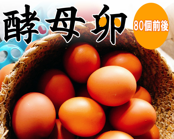 酵母卵千葉県東金市10000卵・乳製品卵(鶏、烏骨鶏等)