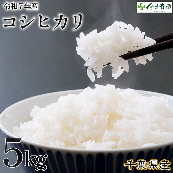 【令和7年産】千葉県産コシヒカリ(精米)5kg千葉県東金市15000米・パン白米