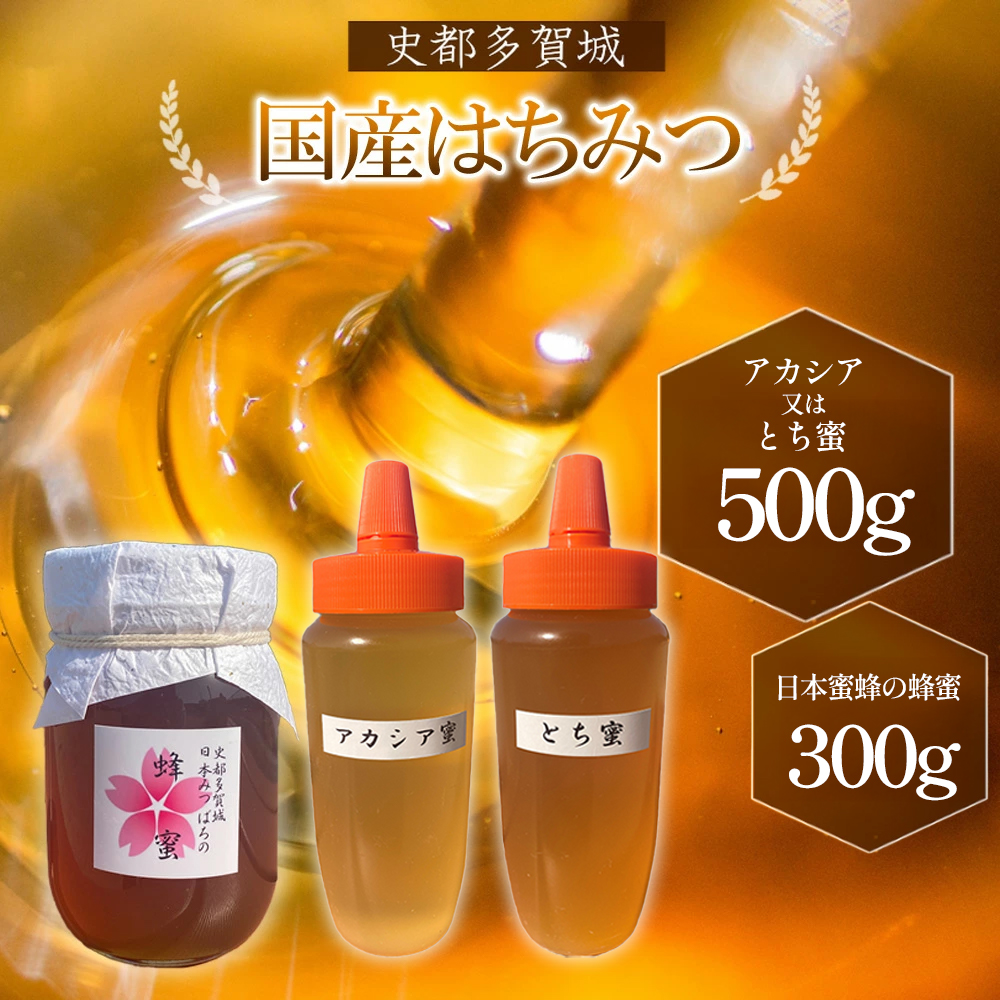 史都多賀城日本みつばちの蜂蜜300gとアカシア又はとち蜜500g 【04209-0273】宮城県多賀城市20000鍋セット・総菜・加工食品