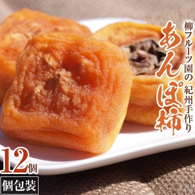 柳フルーツ園の「紀州手作り あんぽ柿」フルーツギフト【配送不可地域:離島】【1021103】和歌山県橋本市11000果物・フルーツドライフルーツ