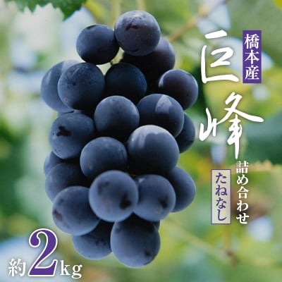 【2026年夏発送】  和歌山県橋本市産(種無し)巨峰 ぶどう詰め合わせ 約2kg【配送不可地域:離島】【1135025】和歌山県橋本市14000果物・フルーツマスカット・ぶどう