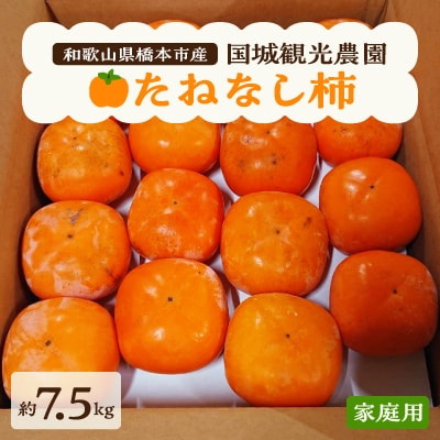 国城観光農園のたねなし柿(家庭用・訳あり)約7.5kg【1143474】和歌山県橋本市10000果物・フルーツその他 果物・フルーツ