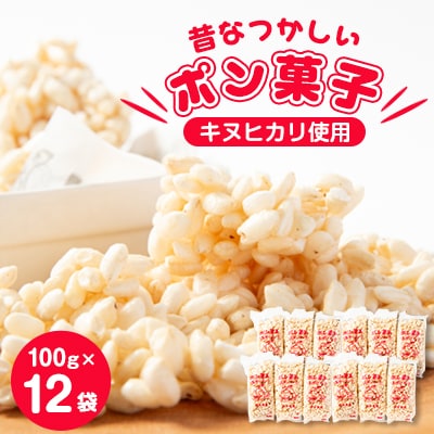 ̂Ȃ@|َq(100g×12)y1143588za̎R{s12000َqEXC[c̑ aَq