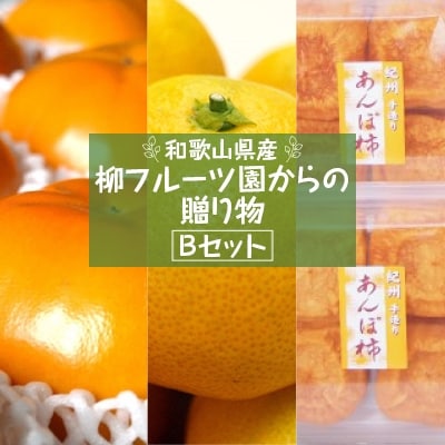 柳フルーツ園からの贈り物 Bセット【1143954】和歌山県橋本市24000果物・フルーツみかん・柑橘類