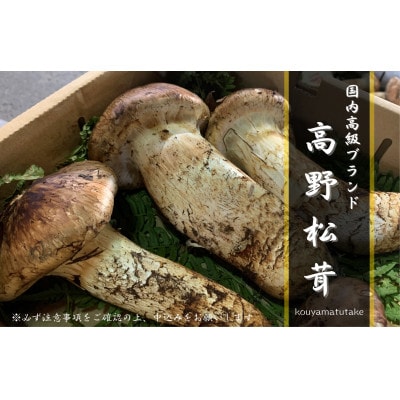 【和歌山産】〜香りそのまま真空パック〜高級・希少 高野松茸 300g(極:★★★)【配送不可地域:離島・北海道・沖縄】【1340772】和歌山県橋本市112000野菜・きのこきのこ