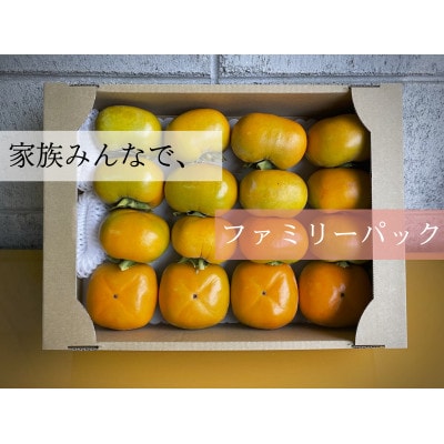 キタヤマ果樹園のたねなし柿 ファミリーパック(家庭用)15〜20個入り(L〜3L)【1342155】和歌山県橋本市12000果物・フルーツその他 果物・フルーツ
