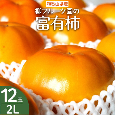 柳フルーツ園の富有柿【1362150】和歌山県橋本市12000果物・フルーツその他 果物・フルーツ