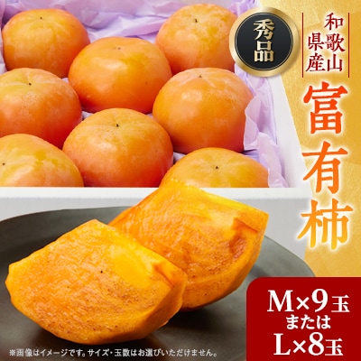 ys\zʎ xL`yGiz M܂LTCYyߘa7N11菇zy1473501za̎R{s9000ʕEt[c̑ ʕEt[c