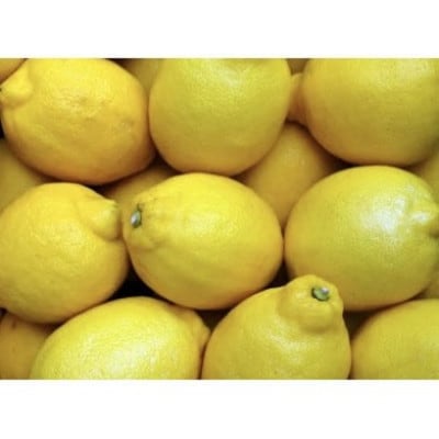 y󂠂zAgeBXt@[̍Y 2kg+200g (11菇\)y1517847za̎R{s7000ʕEt[c݂Ek