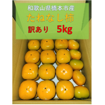 【令和7年10月発送予定】藤田ぶどう園のたねなし柿(訳あり)5kg【1518445】和歌山県橋本市12000果物・フルーツその他 果物・フルーツ