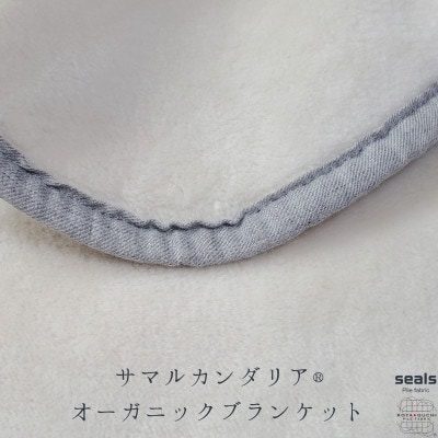 サマルカンダリア オーガニック綿毛布 ハーフケット ナチュラル・ブルー 140cm×100cm【1583862】和歌山県橋本市20000雑貨・日用品寝具・タオル