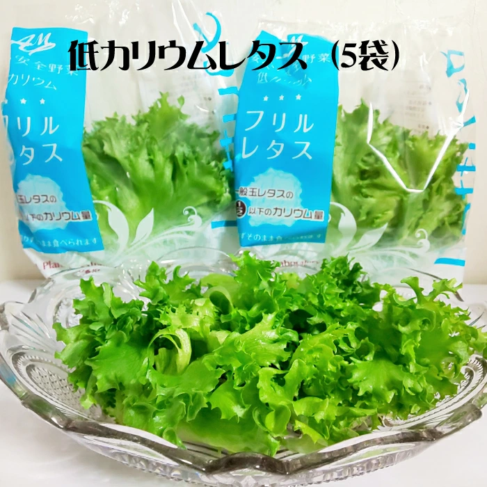 低カリウムレタス(5袋セット) 【07208-0088】福島県喜多方市8000野菜・きのこその他 野菜