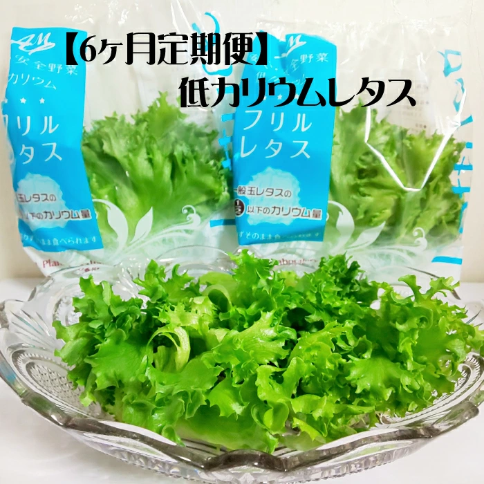 【定期便】低カリウムレタス(毎月6ヶ月お届け) 【07208-0092】福島県喜多方市46000野菜・きのこその他 野菜
