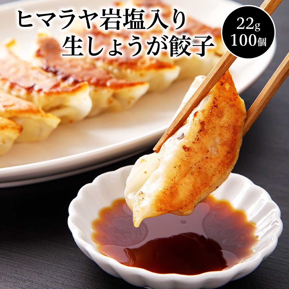ヒマラヤ岩塩入り生しょうが餃子(22g×100個) 【07208-0284】福島県喜多方市16000鍋セット・総菜・加工食品
