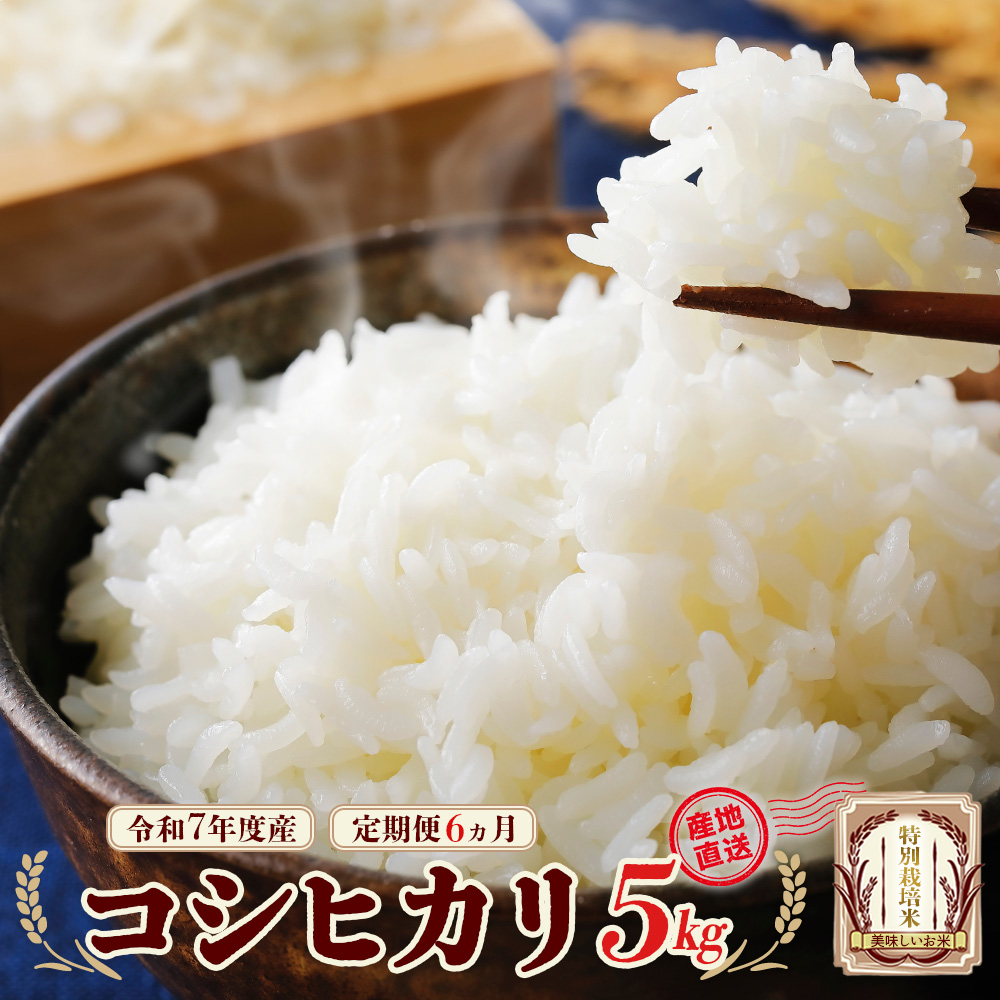 令和7年産 特別栽培米コシヒカリ  5kg×6回 計30kg 【6か月定期便】 雪蔵銀ぴか米  【07208-0688】福島県喜多方市104000米・パン白米