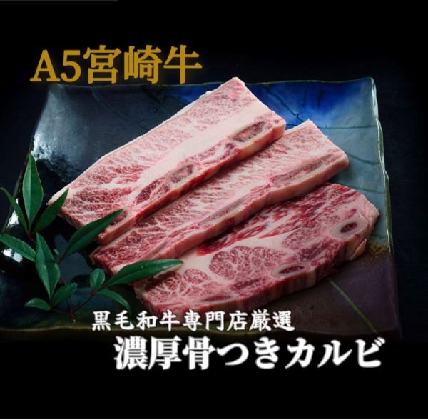 yјaXzA5@{苍̎sɏoȂ؂荜tJr 300gi јa uh Jr ē tb܁j{茧юs11000