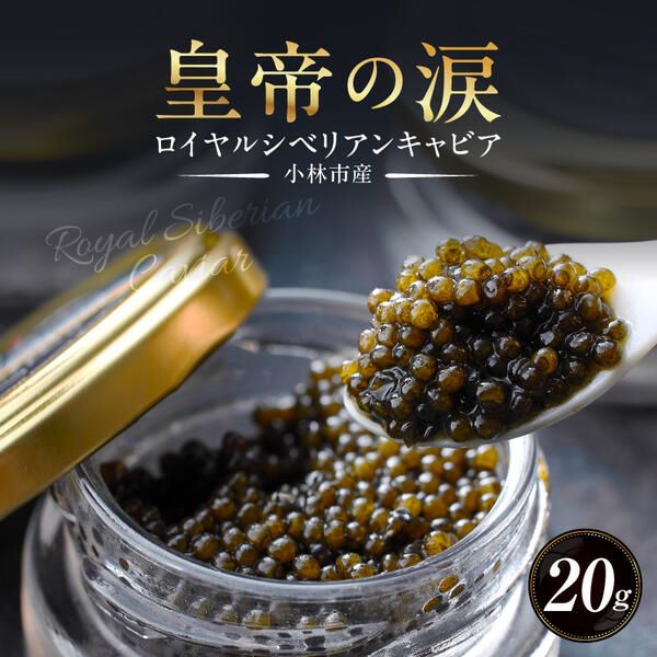 【純国産キャビア】ロイヤルシベリアンキャビア 20g 皇帝の涙 国産 チョウザメ 魚卵 宮崎県宮崎県小林市17000魚介・海産物明太子・その他魚卵