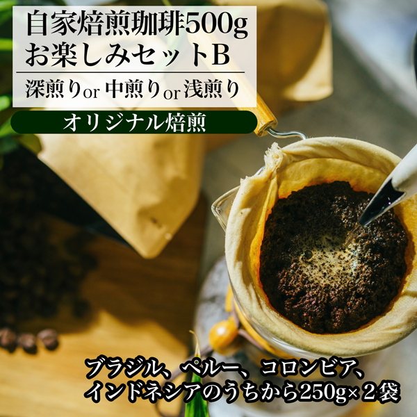【オリジナル焙煎】自家焙煎珈琲500gお楽しみセット(粉) B(深煎りor中煎りor浅煎り)宮崎県小林市12500お茶・飲料コーヒー・紅茶