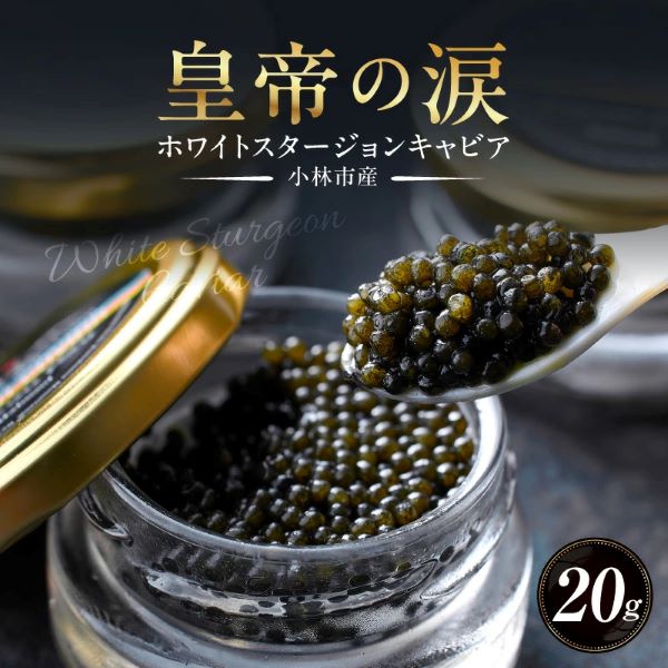 yYLrAzzCgX^[WLrA 20g c̗ Y `EU  {茧{茧юs20000ECYqȆ
