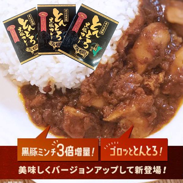 【ご当地カレー】黒豚トントロ肉とあらびきミンチの濃厚“とんとろカレー”宮崎県小林市9000肉豚肉