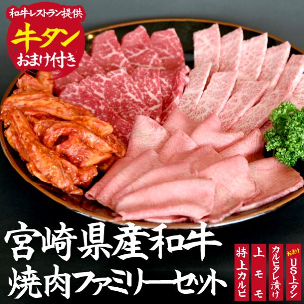 y܂tz{茧Yaēt@~[Zbg{茧юs20000