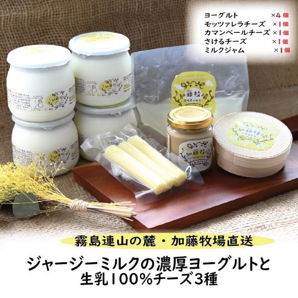 【霧島連山の麓・加藤牧場直送】ジャージーミルクの濃厚ヨーグルトと生乳100%チーズ3種(国産 ナチュラルチーズ ヨーグルト 乳製品 牛乳 チーズ コンテスト受賞  人気 霧島 宮崎 小林市