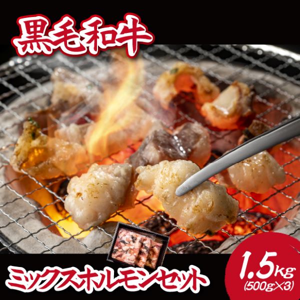 yД_azјa~bNXz 1.5kgiY јa  z ē   BBQ Ⓚj{茧юs10000