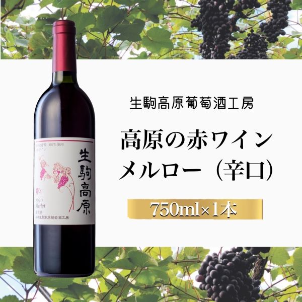 【高原の赤ワイン】メルロー(辛口)宮崎県小林市14000酒・アルコールワイン