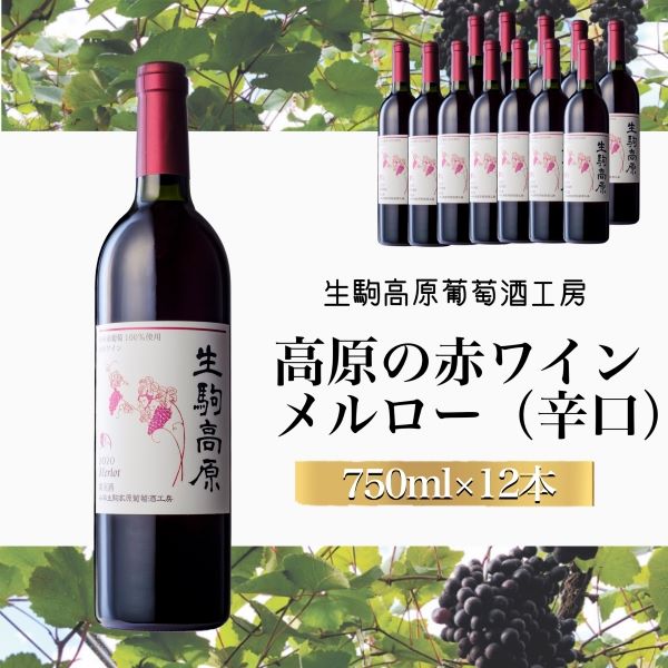 【高原の赤ワイン】メルロー 1ダース宮崎県小林市170000酒・アルコールワイン