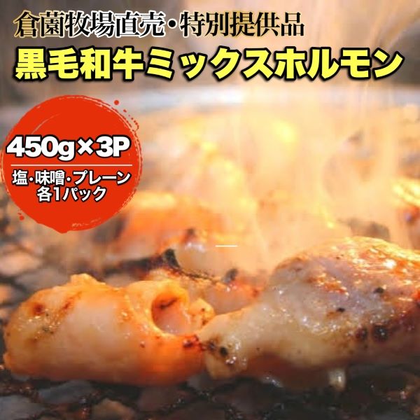 【特別提供品】黒毛和牛ミックスホルモン3Pセット(国産 黒毛和牛 和牛 ホルモン 塩 味噌 焼肉 人気)宮崎県小林市10000肉牛肉