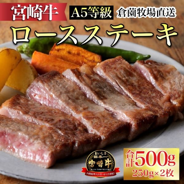 【百名店の味をご自宅で!】A5等級 宮崎牛ロースステーキ 250g×2枚(宮崎牛 黒毛和牛 ブランド牛 牛肉 お肉 ステーキ)宮崎県小林市28000肉牛肉