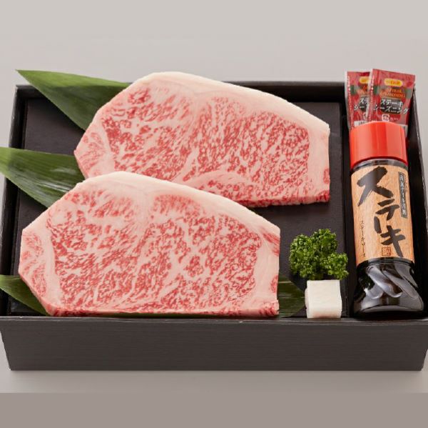 【人気鉄板焼き店厳選】熟成宮崎牛A4等級サーロインステーキセット オリジナルソース付き(国産 牛肉 黒毛和牛 宮崎牛 焼肉 ステーキ 霜降りサーロイン 特製タレ付き)宮崎県小林市40000