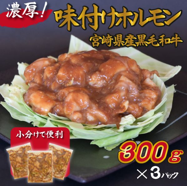 宮崎県産黒毛和牛濃厚味付けホルモン900g( 牛 国産 ホルモン 300g 3パック 焼肉 炒め物)宮崎県小林市10000肉牛肉