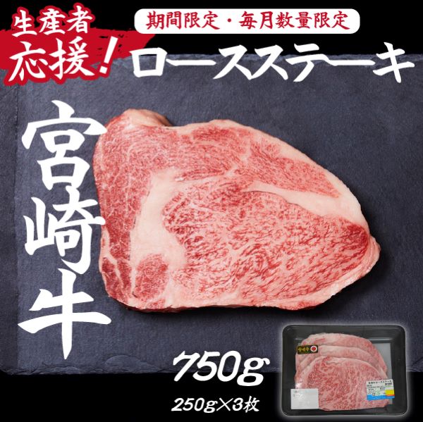 y101`񕍊zzyY҉z{苍[XXe[L750gi250g×3 {苍 a Y  ~ Xe[L [X Ⓚ j{茧юs23000