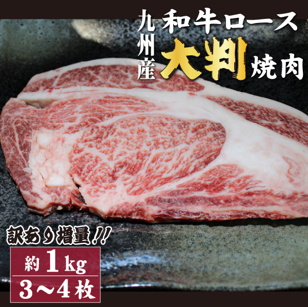 y󂠂葝ʁIzBYa[X唻ē1kgiY  јa ē BBQ 󂠂 ^pbN Ⓚj{茧юs17000