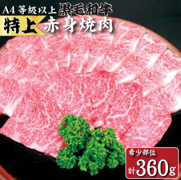 yYҒzȂɂaԐgē --iјa юsY Y  a Ԑg ē Yn j{茧юs12000