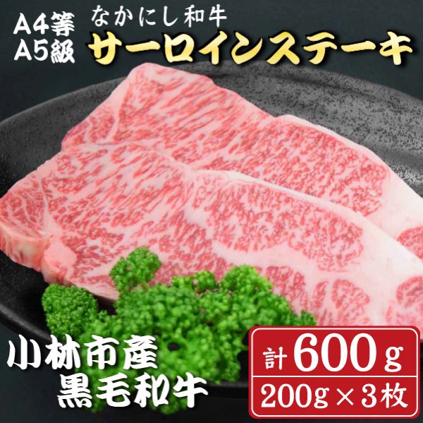 【A4等級以上】なかにし和牛サーロインステーキ600g(200g×3枚 国産 牛肉 和牛 サーロイン ステーキ 生産者直送 )宮崎県小林市34000肉牛肉