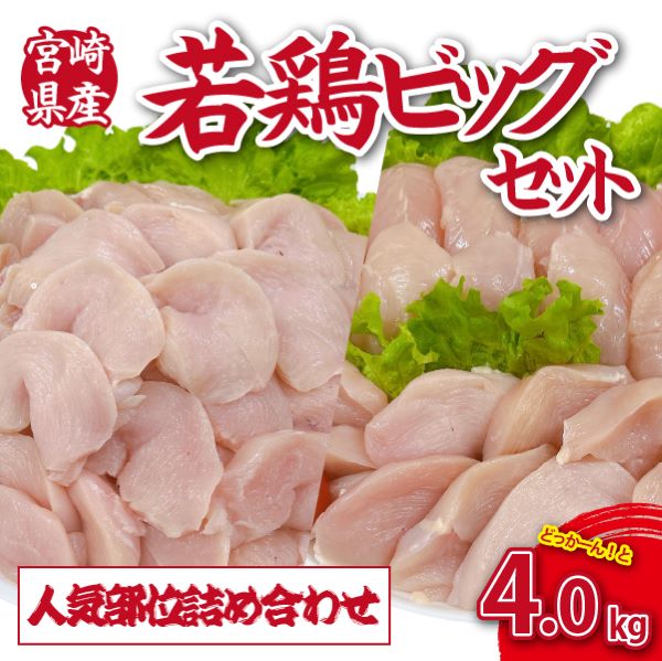 【人気部位詰め合わせ】宮崎県産若鶏4kgビッグセット(若鶏 国産 モモ ムネ ササミ 小分け 大容量 冷凍)宮崎県小林市19000肉鶏肉