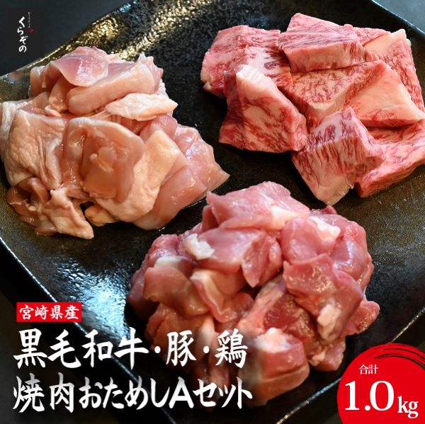 宮崎県産 牛・豚・鶏 焼肉おためしAセット 計1kg(牛肉 豚肉 鶏肉 和牛 焼肉 訳あり 小分け 食べ比べ)宮崎県小林市10000肉