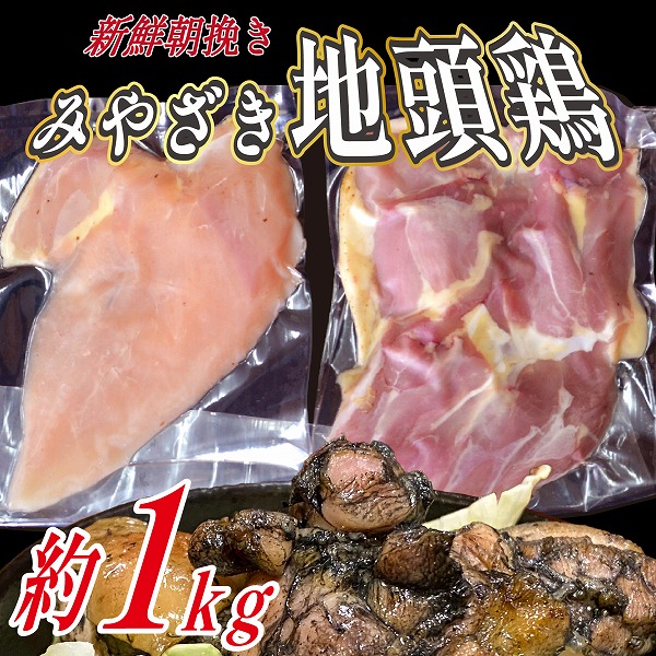 【宮崎ブランド地鶏】朝挽き ”みやざき地頭鶏” もも・むねおためしセット 約1kg(国産 鶏 鶏肉 地頭鶏 モモ ムネ 焼肉 BBQ)宮崎県小林市10000肉鶏肉