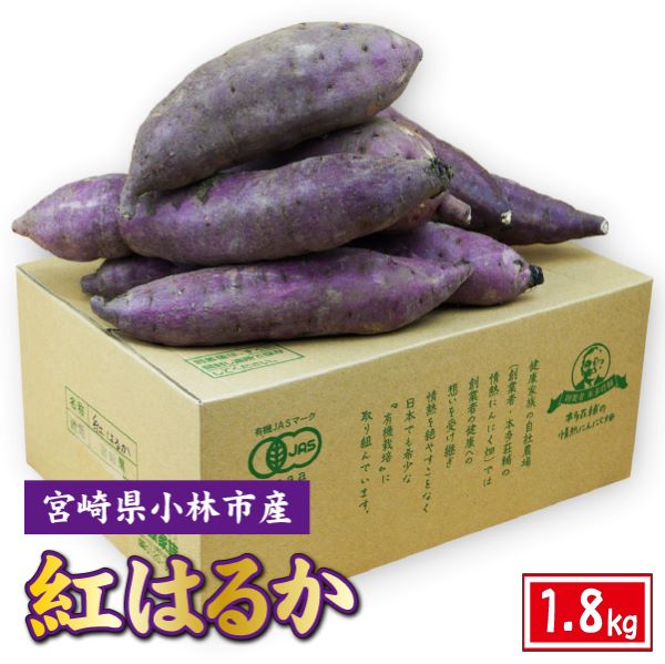 小林市産有機さつま芋 紅はるか 1.8kg(芋 サツマイモ さつまいも 野菜 生芋 期間限定)宮崎県小林市10000野菜・きのこじゃがいも・イモ類