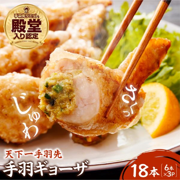 【手羽先サミット殿堂入り!】手羽ギョーザ 18本(国産 鶏肉 手羽先 餃子 ギョウザ 唐揚げ 金賞 人気)宮崎県小林市8000肉鶏肉