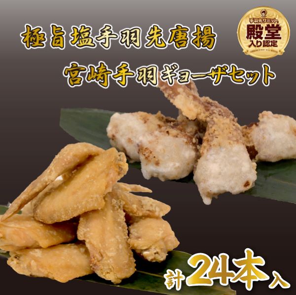 【手羽先サミット殿堂入り!】極旨塩 手羽先 唐揚げ 手羽ギョーザ セット 計24本(国産 鶏肉 手羽先 ギョウザ 餃子 塩 味付き 人気)宮崎県小林市9000肉鶏肉