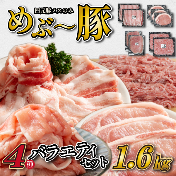 【10月1日〜寄附額改定】【地元ブランド豚】めぶ〜豚 4種バラエティパック 計1.6kg(豚肉 豚 豚バラ とんかつ用 切り落とし こま切れ ミンチ 小分け)宮崎県小林市10000肉豚肉