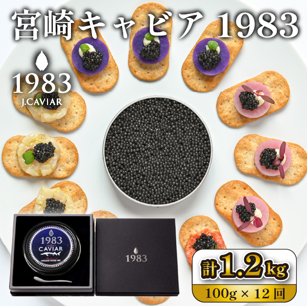 yցES12zېt@[XgNX̗p{LrA1983 100g×12iY LrA  {茧 { юs ցj{茧юs2160000ECYqȆ
