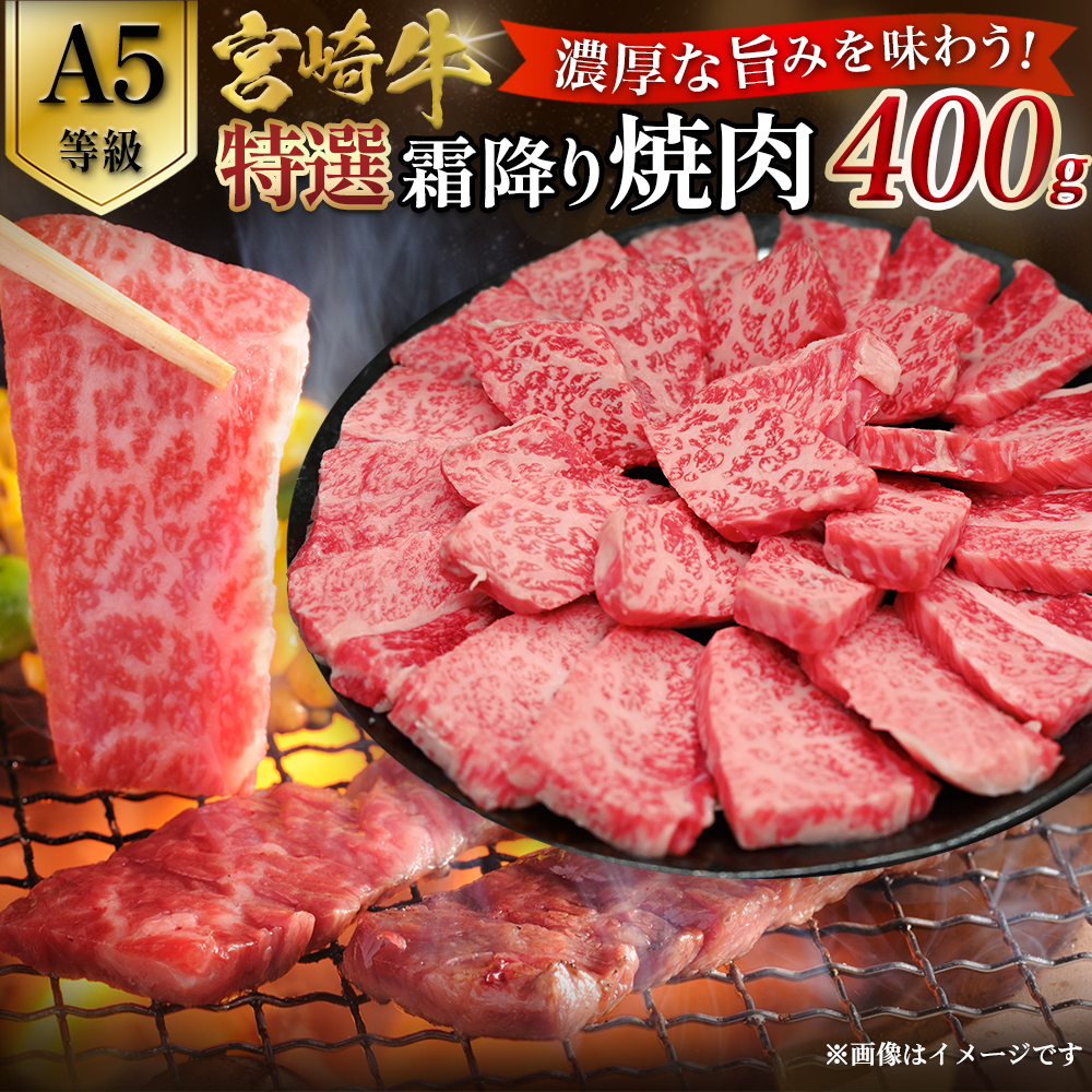 【A5等級】宮崎牛特選霜降り焼肉 (400g×1P) 宮崎牛 ブランド牛 和牛 牛肉 焼肉 特選和牛 霜降り A5 宮崎県 小林市宮崎県小林市17000肉牛肉