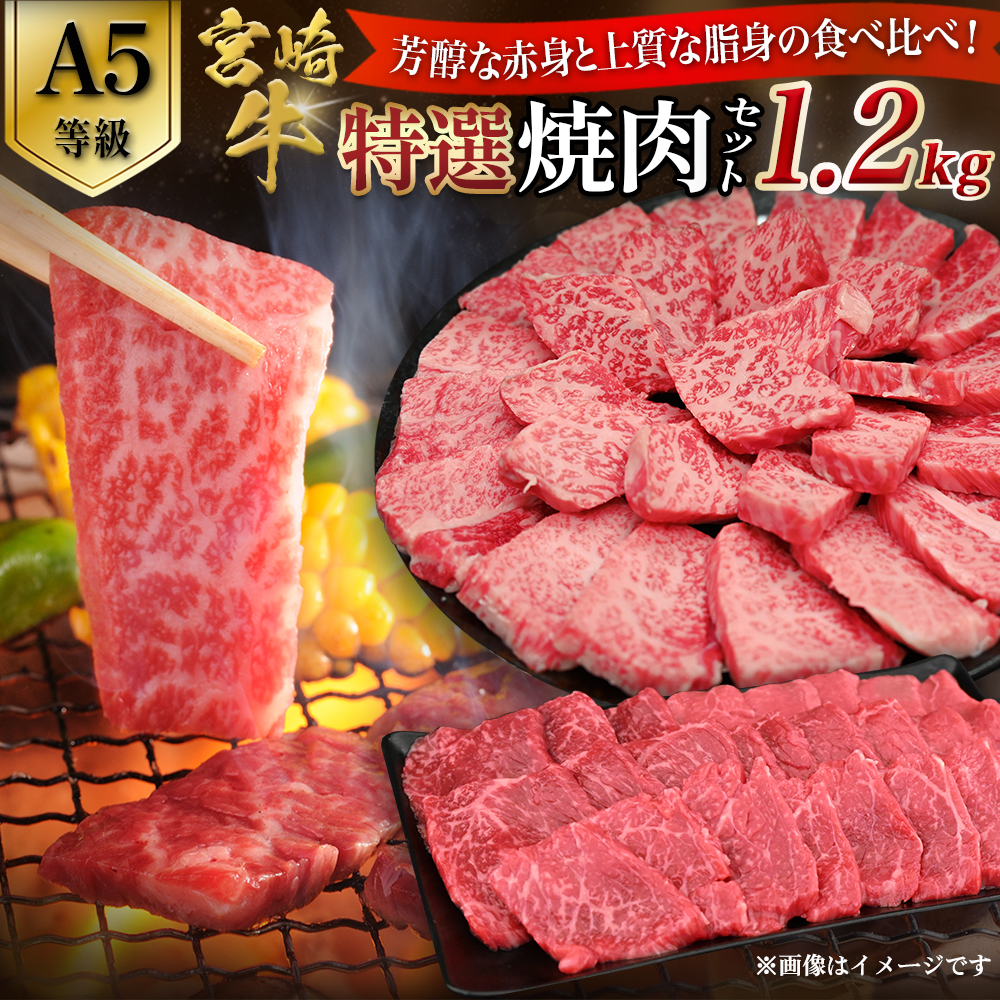 【A5等級】宮崎牛 特選焼肉セット 計1.2kg(赤身・霜降り) 宮崎牛 ブランド牛 和牛 牛肉 焼肉 特選和牛 霜降り A5 宮崎県 小林市宮崎県小林市45000肉牛肉